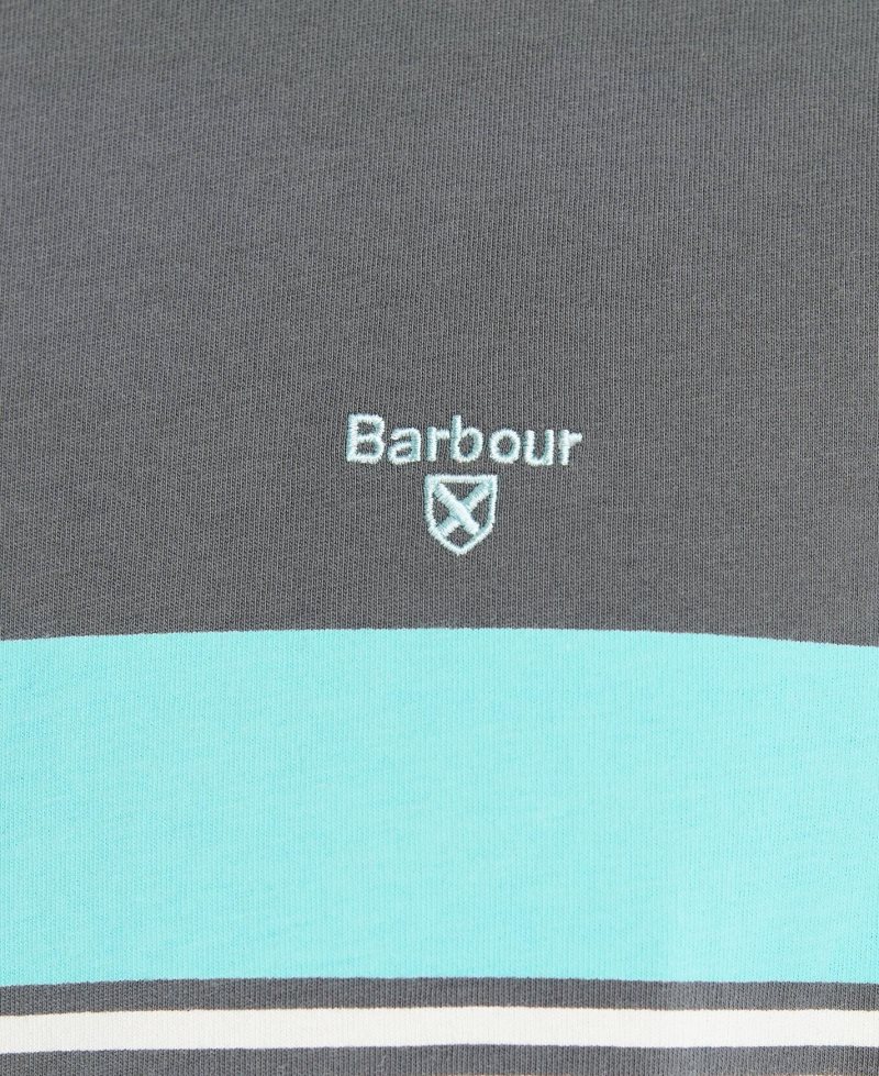 Barbour Braeside T-Shirt White | XWV074123