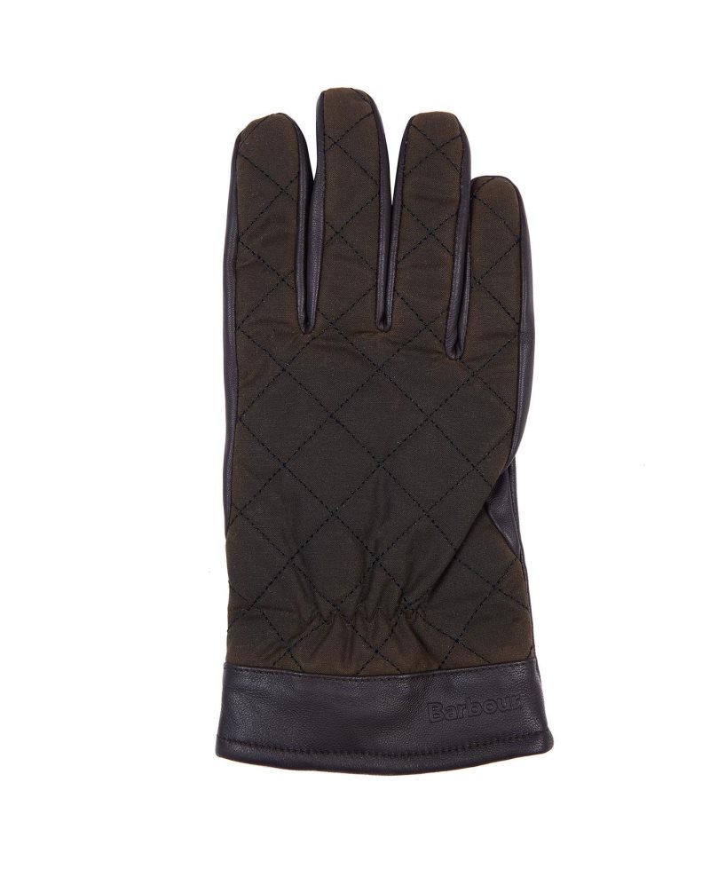 Barbour Dalegarth Gloves Olive Brown | FWJ126578