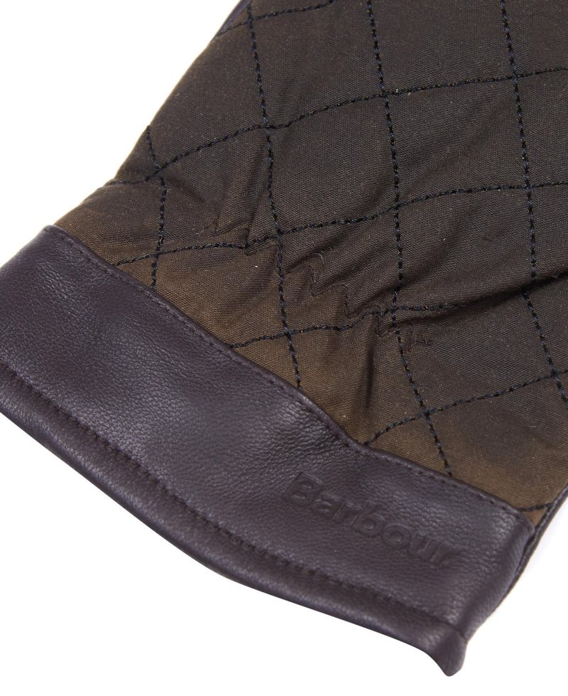 Barbour Dalegarth Gloves Olive Brown | FWJ126578