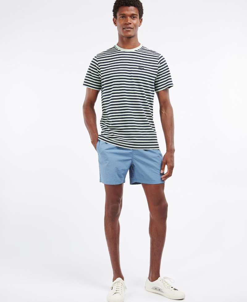 Barbour Delamere Stripe T-Shirt Dusty Mint | JGT568493