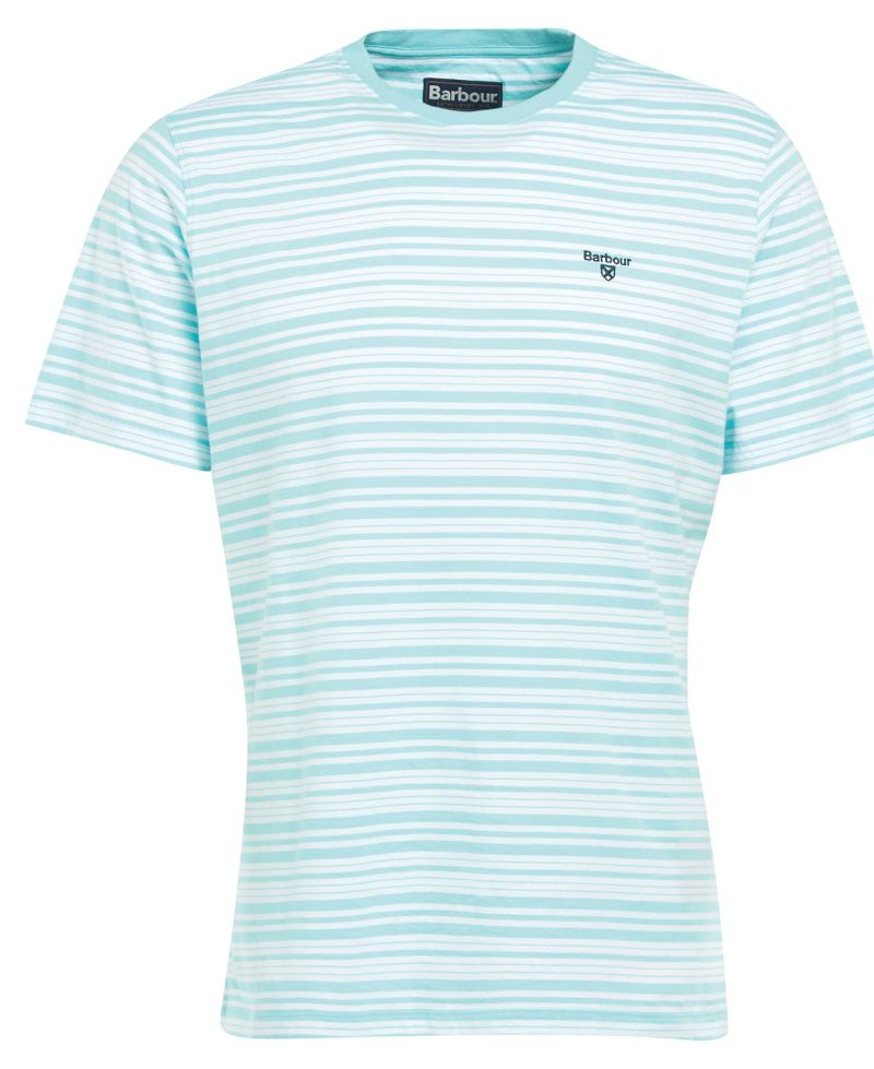 Barbour Embsay T-Shirt Aquamarine | GWS658417