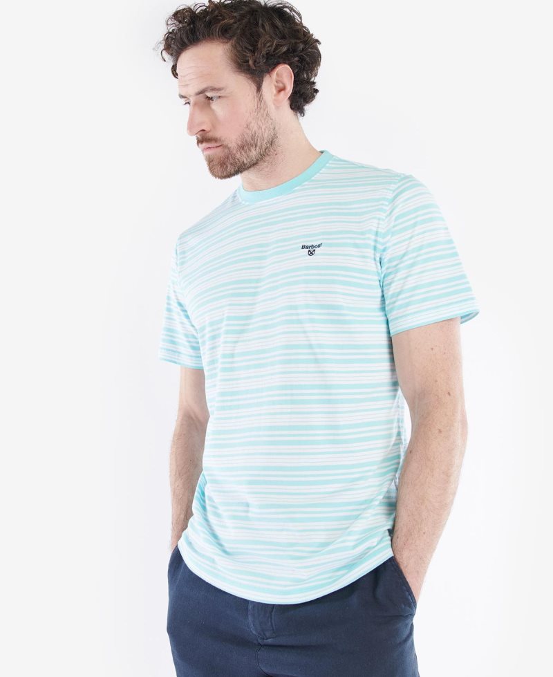 Barbour Embsay T-Shirt Aquamarine | GWS658417