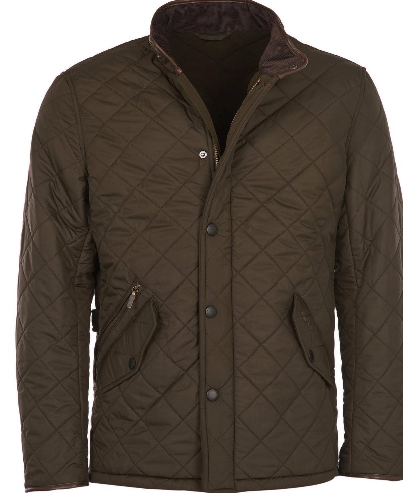 Barbour Powell Quilted Jacket Sage | EML328649