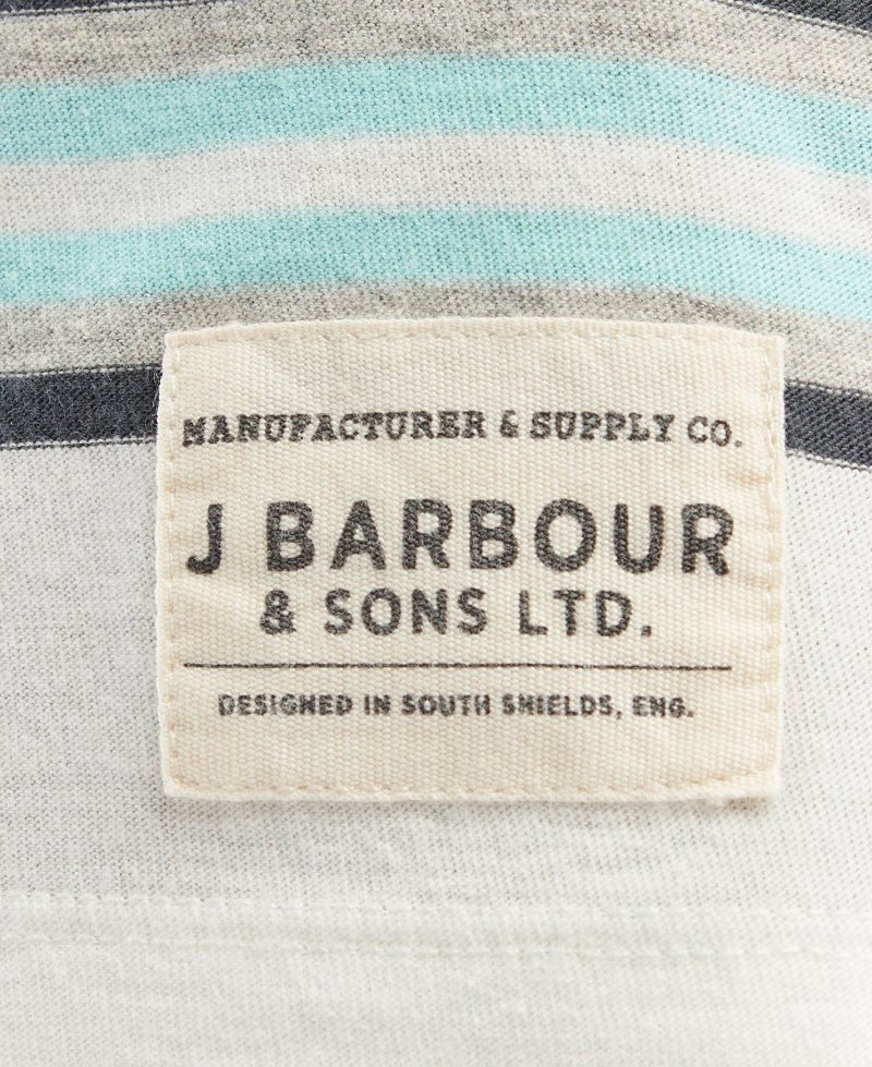 Barbour Sandgrove T-Shirt Whisper White | YDS512407