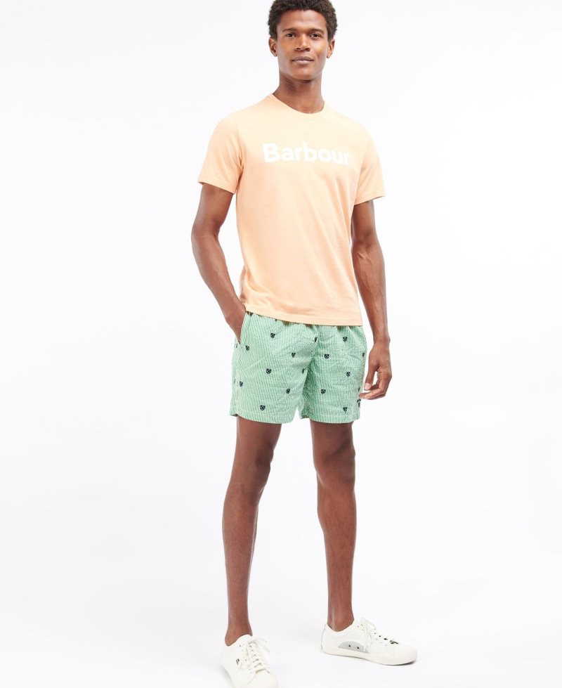 Barbour Shield Swim Shorts Green | ZPN946807